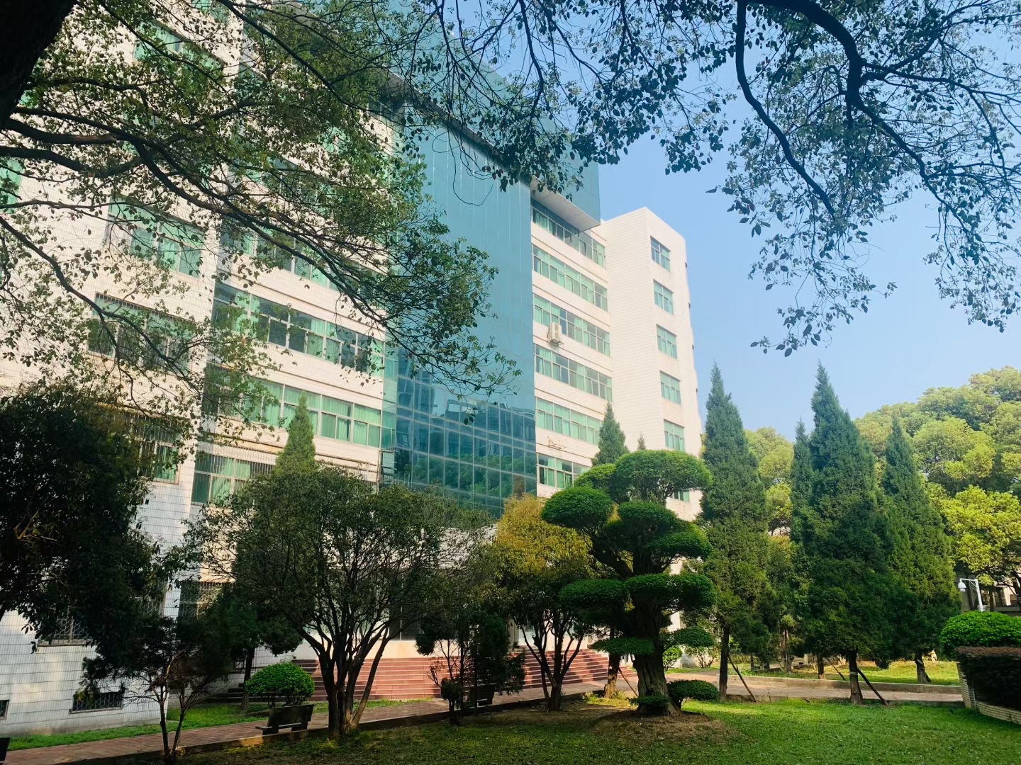 武漢三新職業技術學校